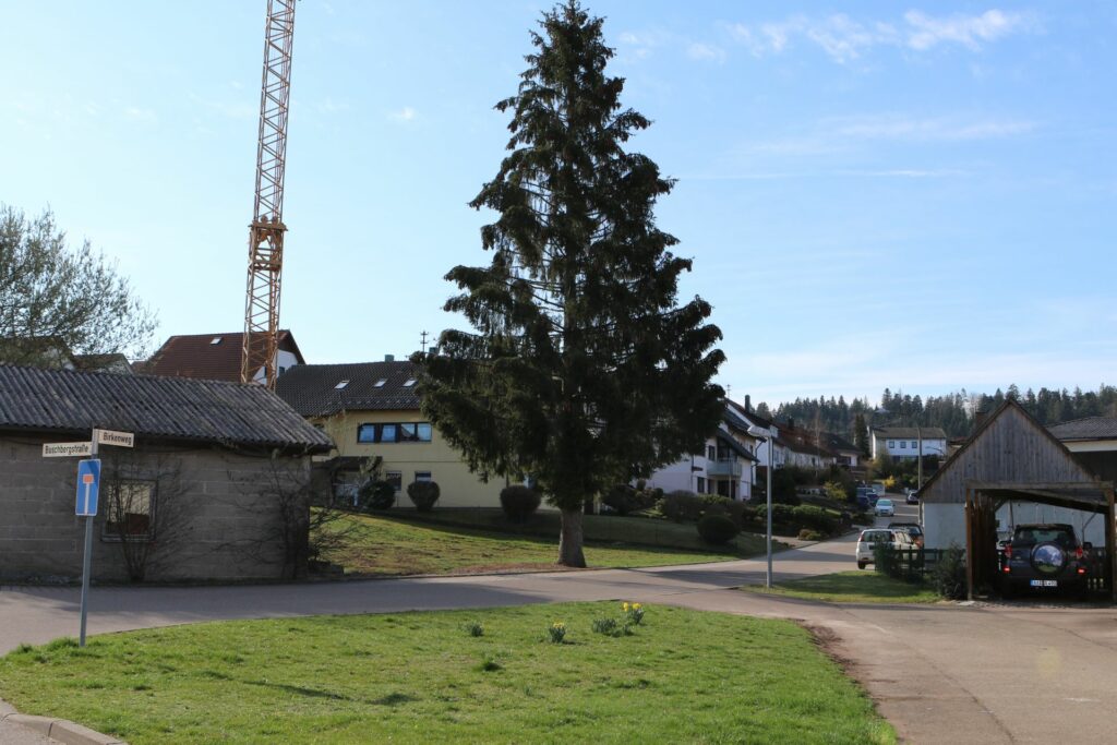 Gschwend - Birkenweg - Ansichten - 2020000000